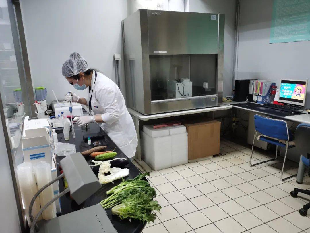 运粮湖管理区食品检测实验室装修方案